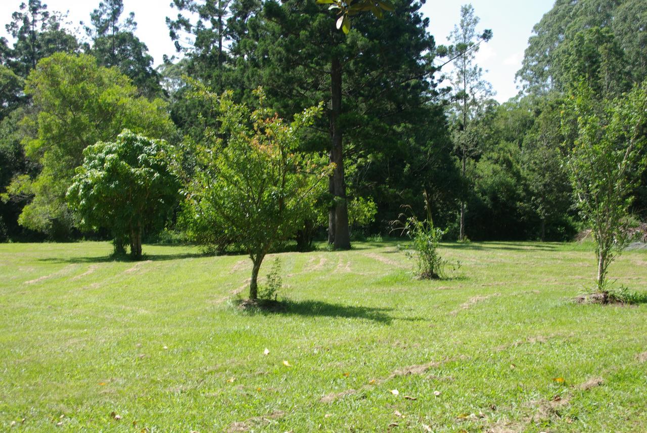 Motel The Bushranger Hideaway à Midginbil Chambre photo